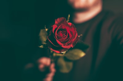 拿着红玫瑰的男子的微距摄影